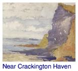 Near Crackington Haven